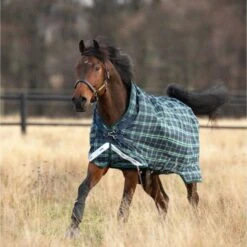 Rhino By Horseware Wug Turnout Lite 100g Hunter Check -Waldhausen Verkäufe 2024 hw aabw61 h3bh rhino wug to lite 100g w la 1.bb0bc1