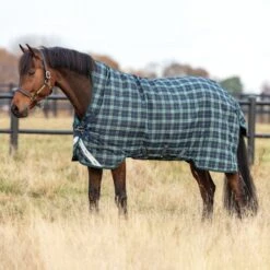 Rhino By Horseware Wug Turnout Lite 100g Hunter Check