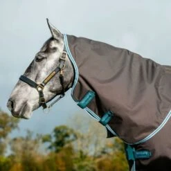 Amigo By Horseware Bravo 12 Plus Turnout Lite Disc Excalibur -Waldhausen Verkäufe 2024 hw aarpt1 amigo bravo 12 plus turnout lite disc 0g 7.547287