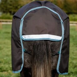 Amigo By Horseware Bravo 12 Plus Turnout Lite Disc Excalibur -Waldhausen Verkäufe 2024 hw aarpt2 amigo bravo 12 plus turnout medium disc 250g 8.63eb31