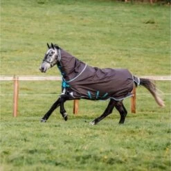 Amigo By Horseware Bravo 12 Plus Turnout Medium Disc Excalibur