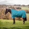 Amigo By Horseware Bravo 12 Wug Lite Storm Green -Waldhausen Verkäufe 2024 hw aarw71 gedc amigo bravo 12 wug lite 0g 1.c674e0