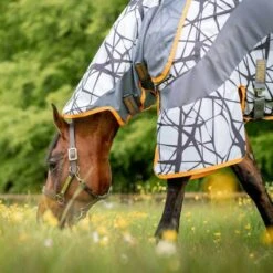 Waldhausen Verkäufe 2024 -Waldhausen Verkäufe 2024 hw afrrk3 j5s0 8.6c5f93