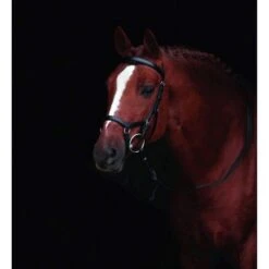 Rambo Micklem Original Competition Bridle Schwarz -Waldhausen Verkäufe 2024 hw micklemcompetitonoriginalblack.68e83c