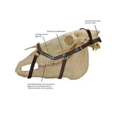 Rambo Micklem Original Competition Bridle Schwarz -Waldhausen Verkäufe 2024 hw rambomicklem.4b56bf