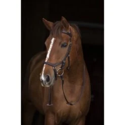 Rambo Micklem Original Competition Bridle Schwarz -Waldhausen Verkäufe 2024 hw sbab4k nab0.0151d1