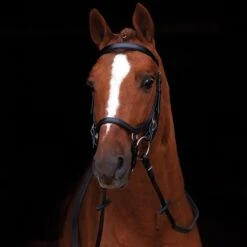 Rambo Micklem Original Competition Bridle Schwarz -Waldhausen Verkäufe 2024 hw sbac9d k00.858c0c