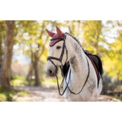 LeMieux Fliegenhaube Loire Azurblau -Waldhausen Verkäufe 2024 jrs it03272 lifestyle loireflyhood orchid 3.fc3515