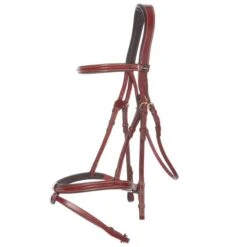 Kavalkade Trense Lorenz Springen Braun -Waldhausen Verkäufe 2024 kav 19068 05 1.02a11e