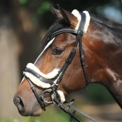 Kavalkade Trense Ivy Mit Lammfell Schwarz -Waldhausen Verkäufe 2024 kavalkade 19020 01.0b46b7