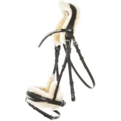 Kavalkade Zaum Joyce Schwarz -Waldhausen Verkäufe 2024 kavalkade 19075 03.9b701e