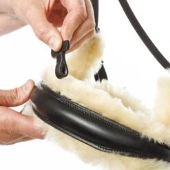 Kavalkade Zaum Joyce Schwarz -Waldhausen Verkäufe 2024 kavalkade 19075 06.27dcb0