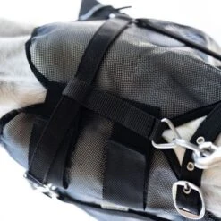 Kavalkade Fliegenmaske Beugel Schwarz 17 Kavalkade Fliegenmaske Beugel Schwarz -Waldhausen Verkäufe 2024 kavalkade 36113 04.42946a