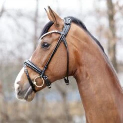 Kavalkade Trense Florina KavalSH4 Rundgenäht Schwarz -Waldhausen Verkäufe 2024 kavalkade zwart 2 19047 08.42eea1