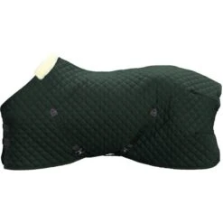 Kentucky Horsewear Kentucky Stalldecke 400g Dunkelgrün -Waldhausen Verkäufe 2024 ken 52102 73.151cbe