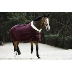 Kentucky Horsewear Kentucky Abschwitzdecke Show Fleece Heavy Navy -Waldhausen Verkäufe 2024 ken 52148 17 bordeaux.389de3