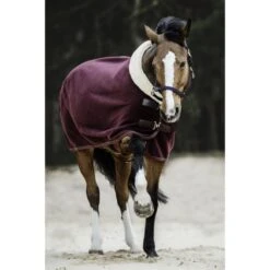 Kentucky Horsewear Kentucky Abschwitzdecke Show Fleece Heavy Navy -Waldhausen Verkäufe 2024 ken 52148 17 bordeaux3.c35f7f