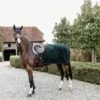 Kentucky Horsewear Ausreitdecke Quadratisch Heavy Fleece Grün -Waldhausen Verkäufe 2024 ken 52208 groen2.08a84d