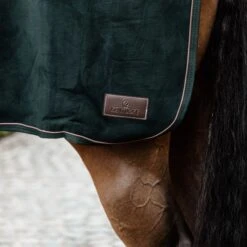 Kentucky Horsewear Ausreitdecke Quadratisch Heavy Fleece Grün -Waldhausen Verkäufe 2024 ken 52208 groen3.3311ae