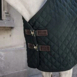 Kentucky Horsewear Kentucky Stalldecke 400g Dunkelgrün -Waldhausen Verkäufe 2024 kentucky 14052020 485a2476 e8502ded370e565d04389cf2c54c4715 article photobook crop.862b46