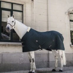 Kentucky Horsewear Kentucky Stalldecke 400g Navy -Waldhausen Verkäufe 2024 kentucky 14052020 485a2505 e8502ded370e565d04389cf2c54c4715 article photobook crop.f4e10f 1