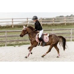 Kentucky Horsewear Kentucky Gamaschen Bamboo Elastic Vegan Sheepskin Smaragdgrün -Waldhausen Verkäufe 2024 kentucky 179a5257.1db6a4