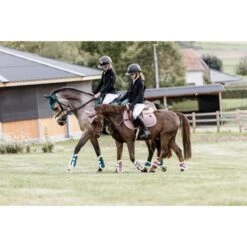 Kentucky Horsewear Kentucky Gamaschen Bamboo Elastic Vegan Sheepskin Smaragdgrün -Waldhausen Verkäufe 2024 kentucky 179a5531.988564