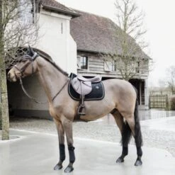 Kentucky Horsewear Kentucky Bandagen Samtvlies Beige Warmblut -Waldhausen Verkäufe 2024 kentucky 42115 01 f 4.b13354
