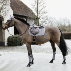 Kentucky Horsewear Kentucky Bandagen Samtvlies Beige Warmblut -Waldhausen Verkäufe 2024 kentucky 42115 08 f 4.1d0d2e