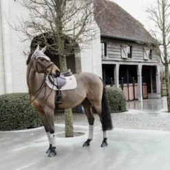 Kentucky Horsewear Kentucky Bandagen Samtvlies Beige Warmblut -Waldhausen Verkäufe 2024 kentucky 42115 32 f 4.f8a176
