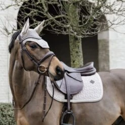Kentucky Horsewear Kentucky Ohrnetz Wellington Basic Velvet Grau -Waldhausen Verkäufe 2024 kentucky 42628 32 2.8f38d4