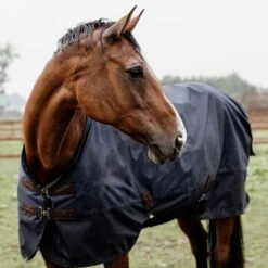 Kentucky Horsewear Kentucky Turnout Rug All Weather Waterproof Pro 0g Navy -Waldhausen Verkäufe 2024 kentucky 485a4426.2c2eb9