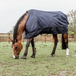 Kentucky Horsewear Kentucky Turnout Rug All Weather Waterproof Pro 0g Navy -Waldhausen Verkäufe 2024 kentucky 485a4577.2c07c4