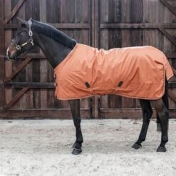 Kentucky Horsewear Kentucky Turnout All Weather 160g Braun -Waldhausen Verkäufe 2024 kentucky 485a6546.57cb0b