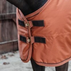 Kentucky Horsewear Kentucky Turnout All Weather 160g Braun -Waldhausen Verkäufe 2024 kentucky 485a6555.96a3f2
