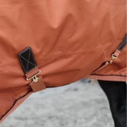 Kentucky Horsewear Kentucky Turnout All Weather 160g Braun -Waldhausen Verkäufe 2024 kentucky 485a6563.be2dca