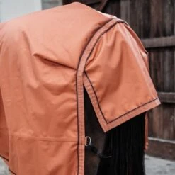 Kentucky Horsewear Kentucky Turnout All Weather 160g Braun -Waldhausen Verkäufe 2024 kentucky 485a6568.575232