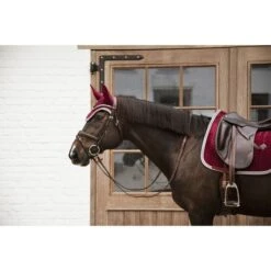 Kentucky Horsewear Kentucky Orhnetz Wellington Velvet Kontrast Bordeaux Warmblut -Waldhausen Verkäufe 2024 kentucky 485a6791.6b83b0