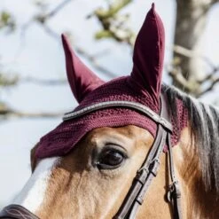 Kentucky Horsewear Kentucky Ohrnetz Wellington Grau Warmblut -Waldhausen Verkäufe 2024 kentucky 485a6841 564c22e810080218547dfa1c1093aa08 article photobook l.229014 2