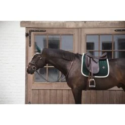 Kentucky Horsewear Kentucky Orhnetz Wellington Velvet Kontrast Bordeaux Warmblut -Waldhausen Verkäufe 2024 kentucky 485a6948.85f8a8
