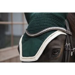 Kentucky Horsewear Kentucky Orhnetz Wellington Velvet Kontrast Bordeaux Warmblut -Waldhausen Verkäufe 2024 kentucky 485a6997.d89cb4