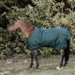 Kentucky Horsewear Kentucky Turnout All Weather 160g Braun -Waldhausen Verkäufe 2024 kentucky 52121 73 1.e7942a