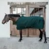 Kentucky Horsewear Kentucky Abschwitzdecke 4D Spacer Pine Green -Waldhausen Verkäufe 2024 kentucky 63c9509259476 4884a8cc479ba222191e18f5fb8646c4274bc9ef 485a3370.83ba83