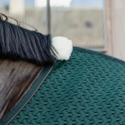 Kentucky Horsewear Kentucky Abschwitzdecke 4D Spacer Pine Green -Waldhausen Verkäufe 2024 kentucky 63c95092ce0f1 1a592f64ddbc9ed4d00ae0591dc4690d2ae92477 485a3385.96a5db