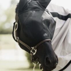 Kentucky Horsewear Kentucky Fliegenmaske Classic Mit Ohren Silber -Waldhausen Verkäufe 2024 kentucky bw4a9921 bearbeitet e8502ded370e565d04389cf2c54c4715 article photobook crop.3de58f 1