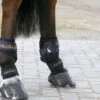 Kentucky Horsewear Fesselschutz Pastern Warmblut -Waldhausen Verkäufe 2024 kentucky c e8502ded370e565d04389cf2c54c4715 article photobook crop 3.11ca6b