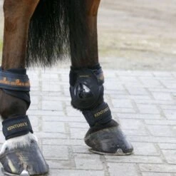 Kentucky Horsewear Fesselschutz Pastern Warmblut