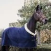 Kentucky Horsewear Kentucky Abschwitzdecke Show Fleece Heavy Navy -Waldhausen Verkäufe 2024 kentucky fleece show deken heavy navy.829cd0