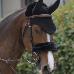 Kentucky Horsewear Kentucky Ohrnetz Wellington Grau Warmblut -Waldhausen Verkäufe 2024 kentucky oornetje wellington black.b5245c 2