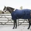 Kentucky Horsewear Kentucky Stalldecke 400g Navy -Waldhausen Verkäufe 2024 kentucky staldeken 400g navy.5eb70f